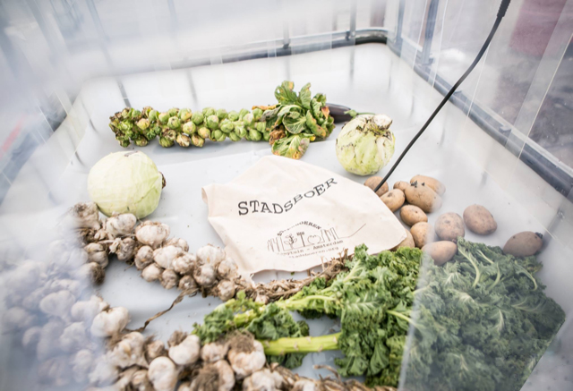 dgtl, festival, amsterdam, duurzaam, zero waste