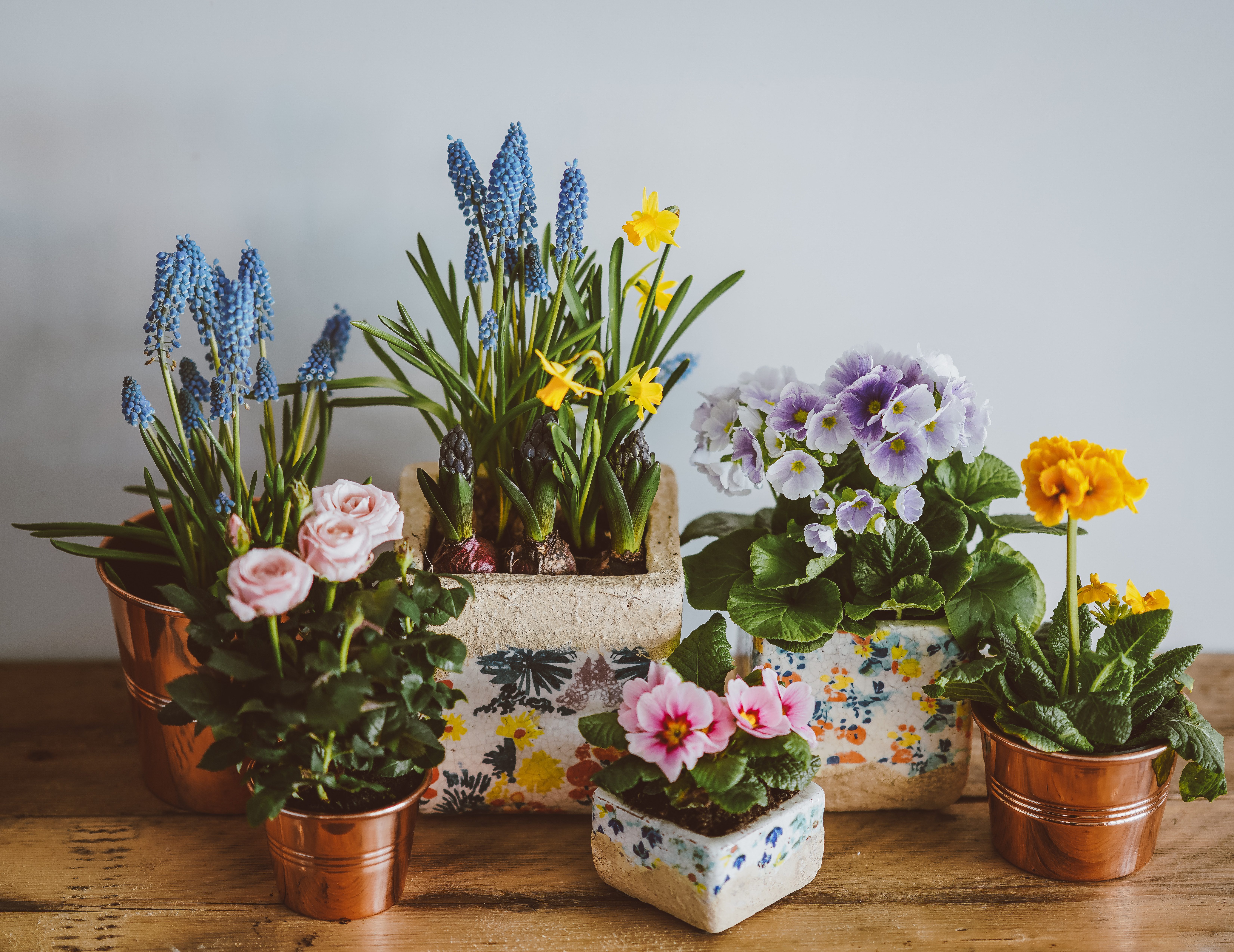 Ongebruikt Zero waste tip #16: hergebruik en maak zelf bloempotjes van wc-rollen DT-97