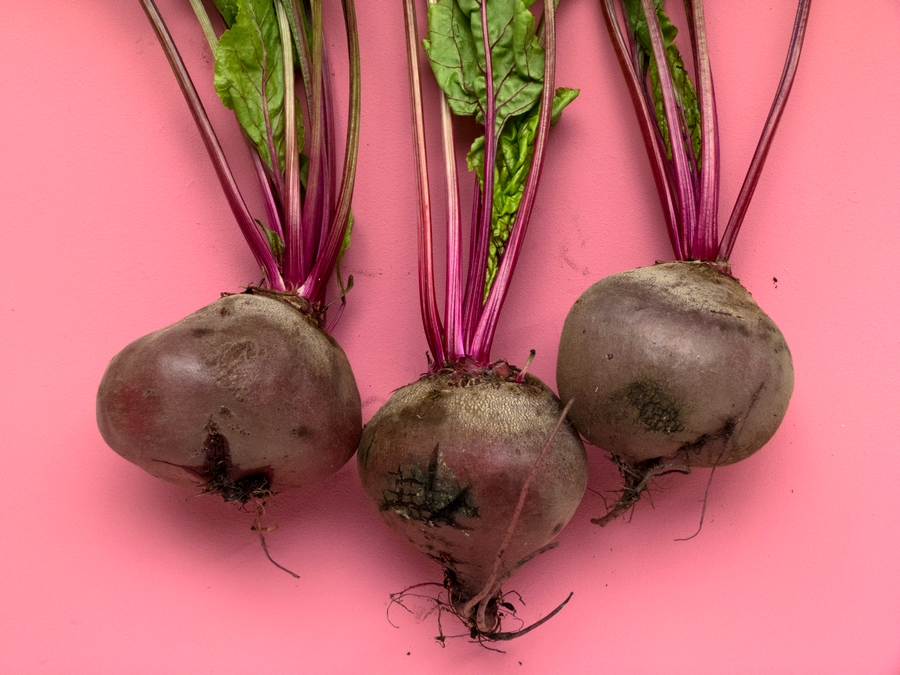 Afbeelding de 5 principes van circulair koken: plantaardig eten