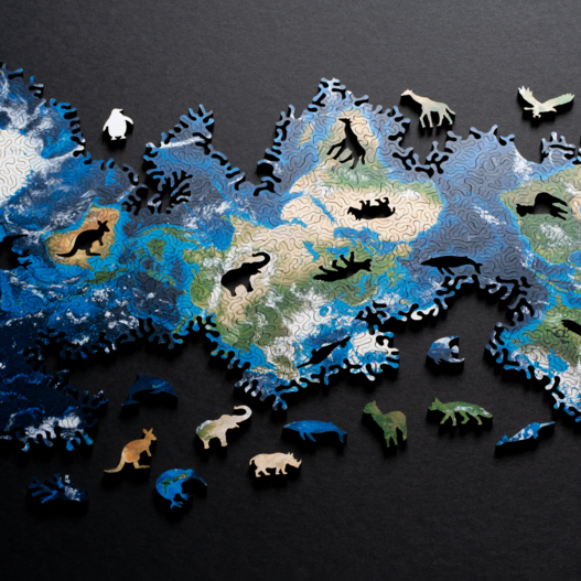 wereldpuzzel