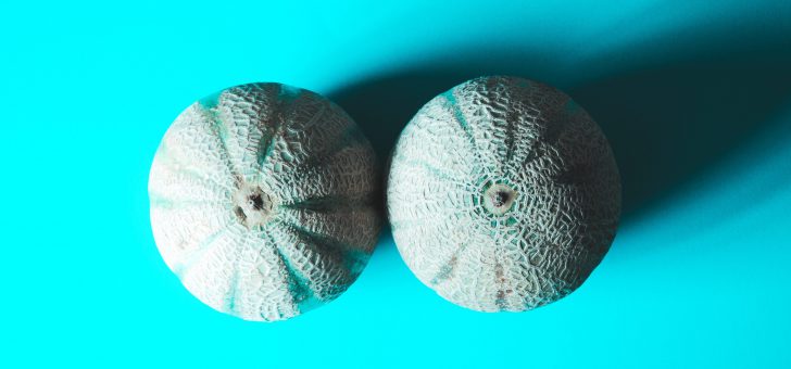 twee meloenen