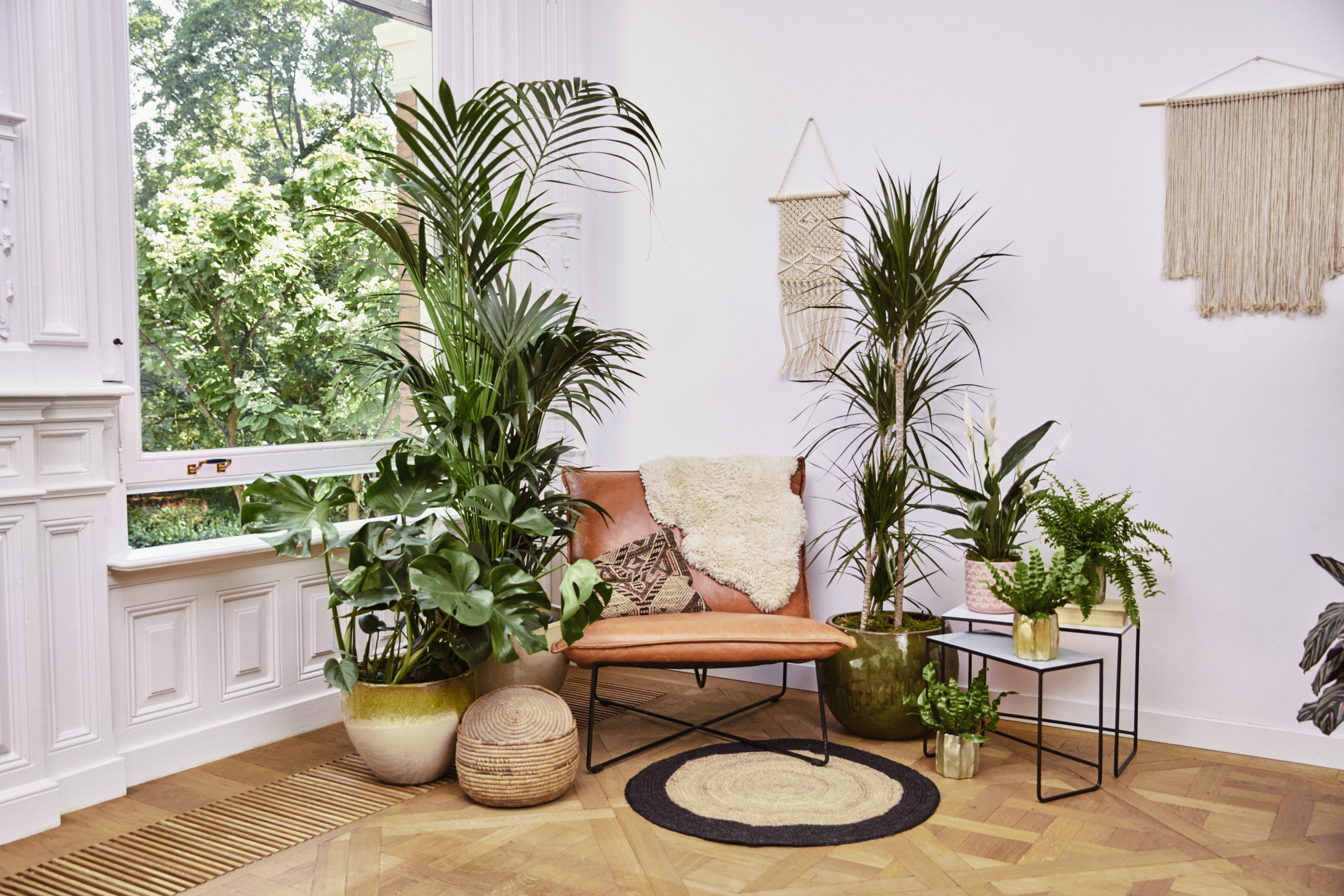 Planttherapie
