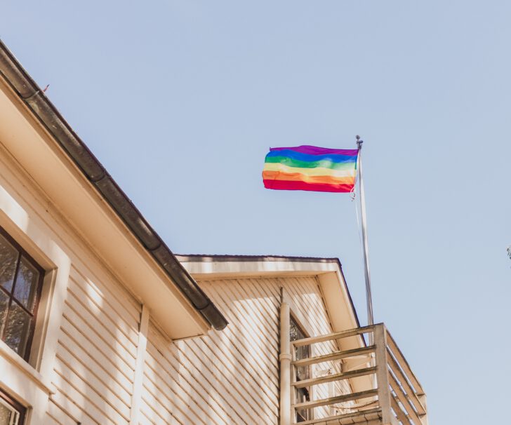 LGBTQ vlag