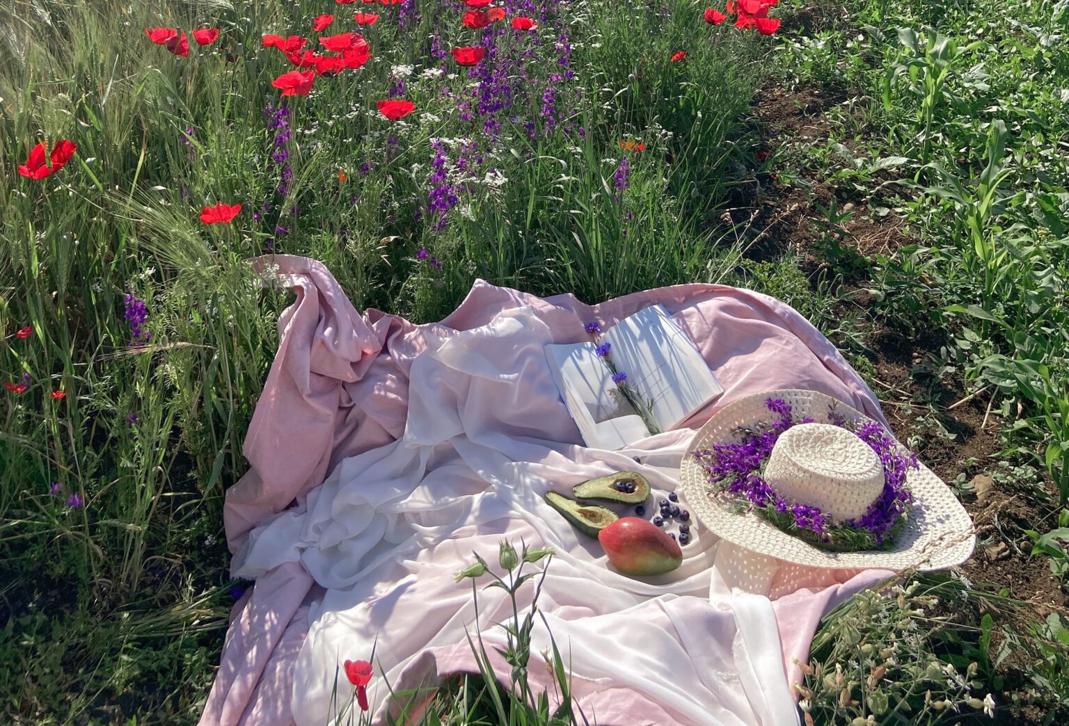 voeding in de zomer op picknick kleed