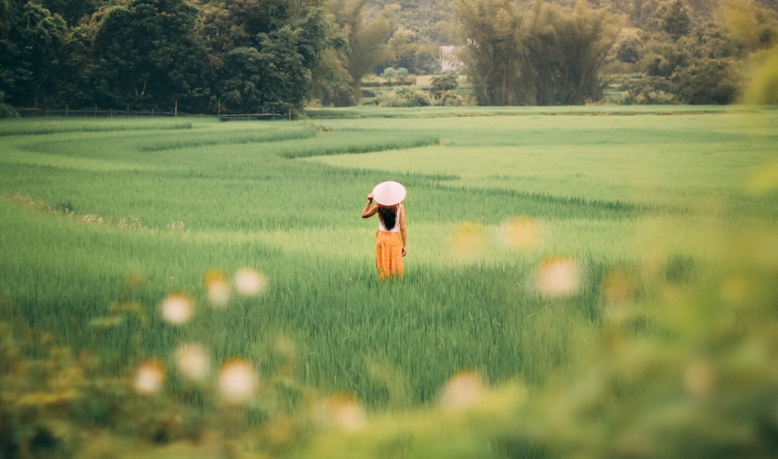 vrouw in een rijstveld