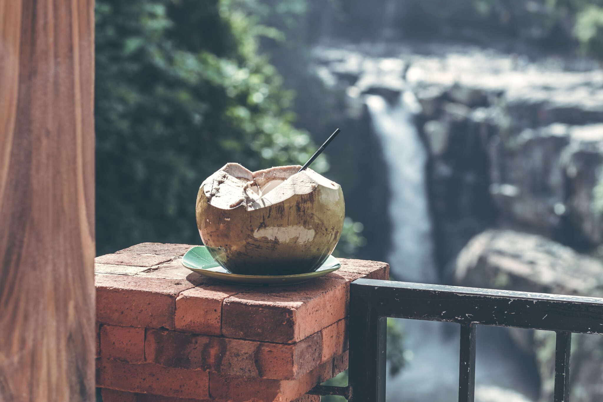 Kokosnoot met waterval op de achtergrond