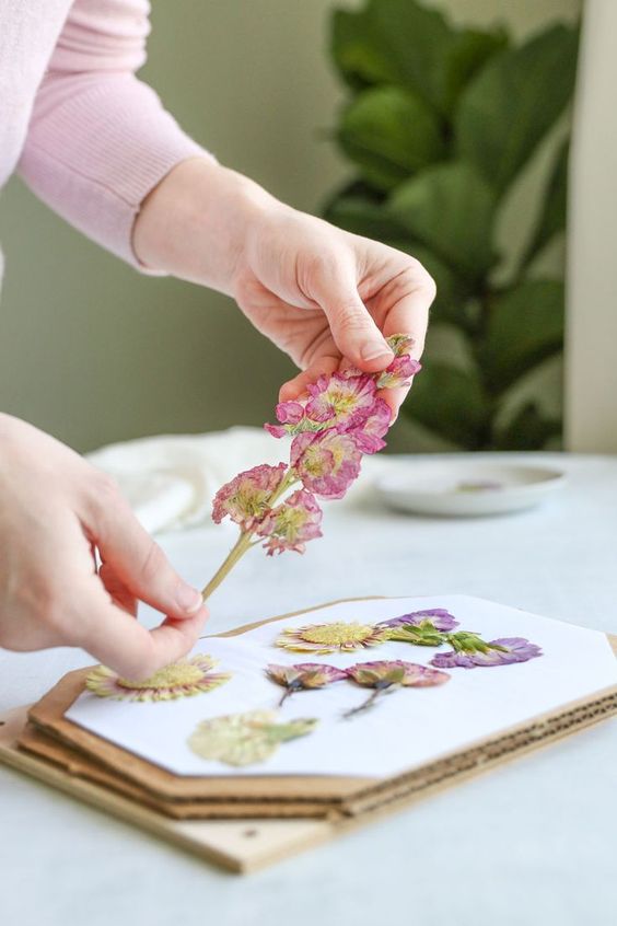 Bloemen in een bloemenpers