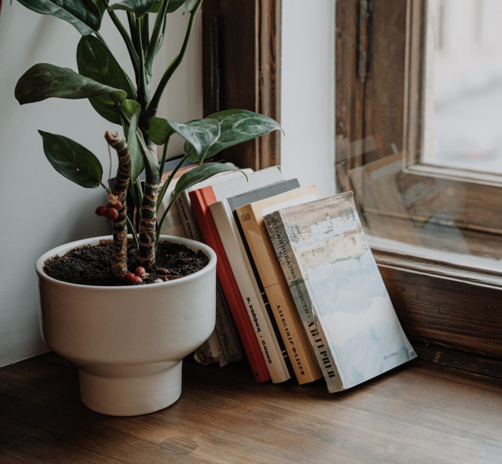 Boekentip Eva Jinek