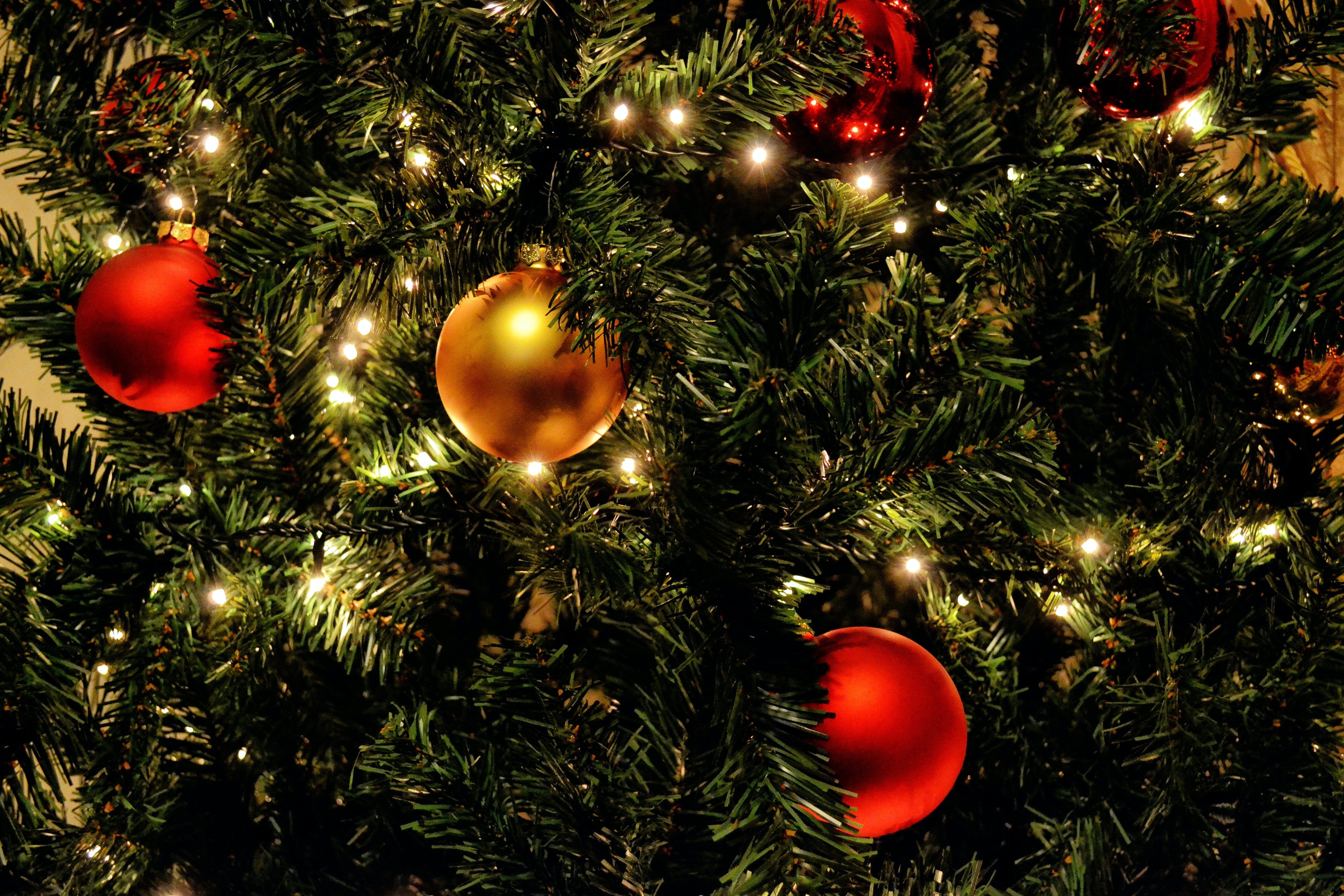 Kerst corona tips