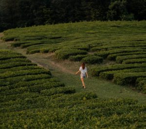 vrouw wandelt in natuur