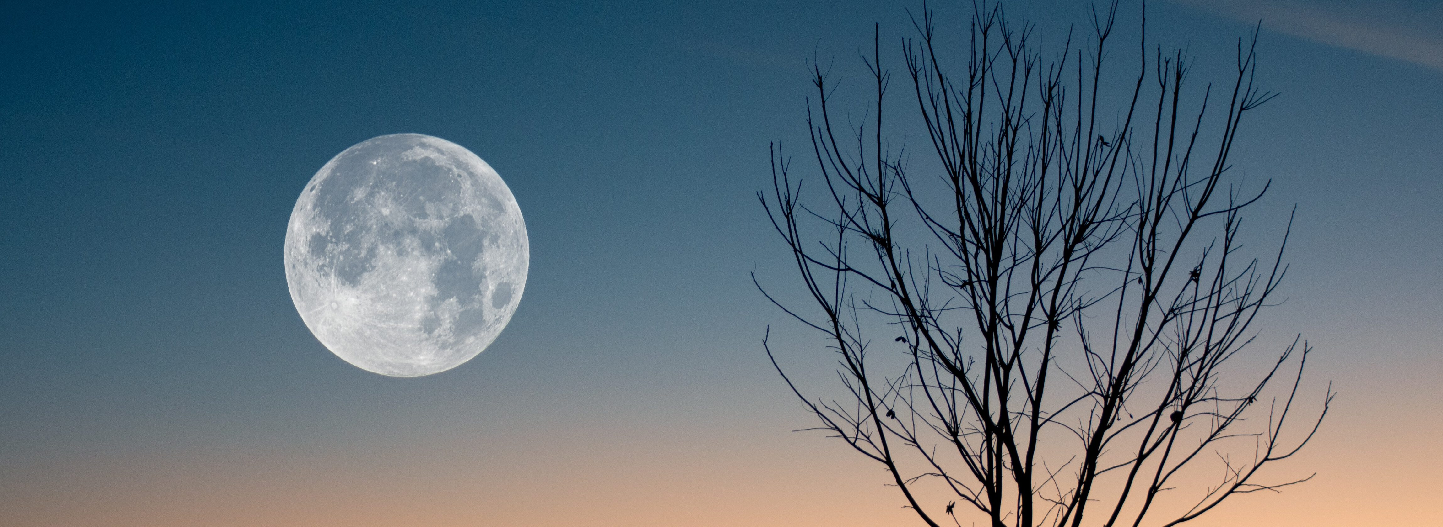 Volle maan 10 oktober 2022