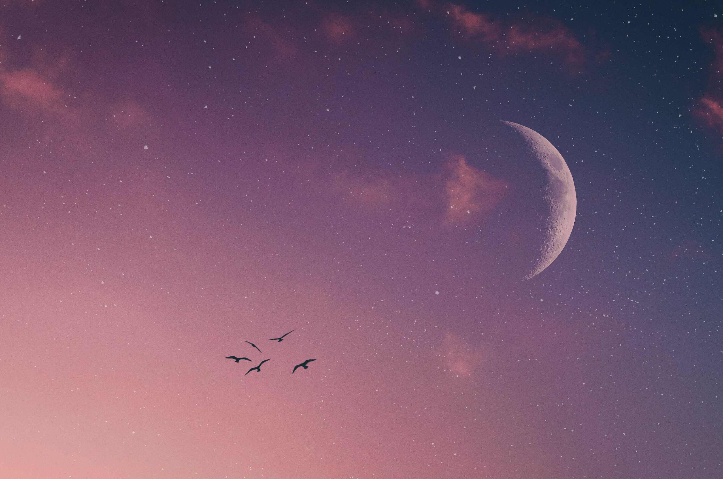 De nieuwe maan 25 september 2022 staat in Weegschaal astroloog vertelt