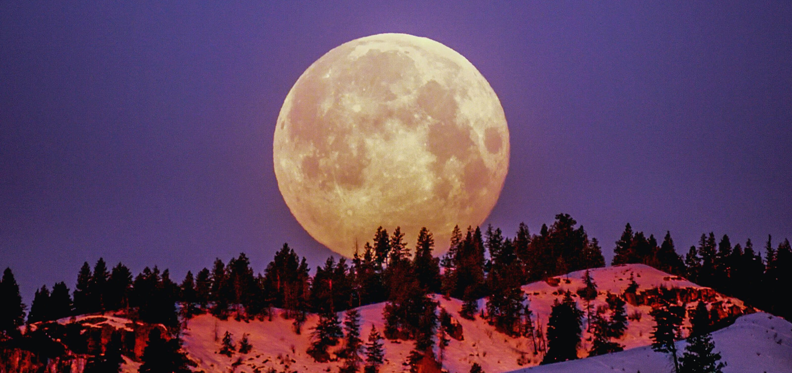 Volgens de volle maan van 5 februari mag jij meer gaan stralen Volgens de volle maan van 5 februari mag jij meer gaan stralen