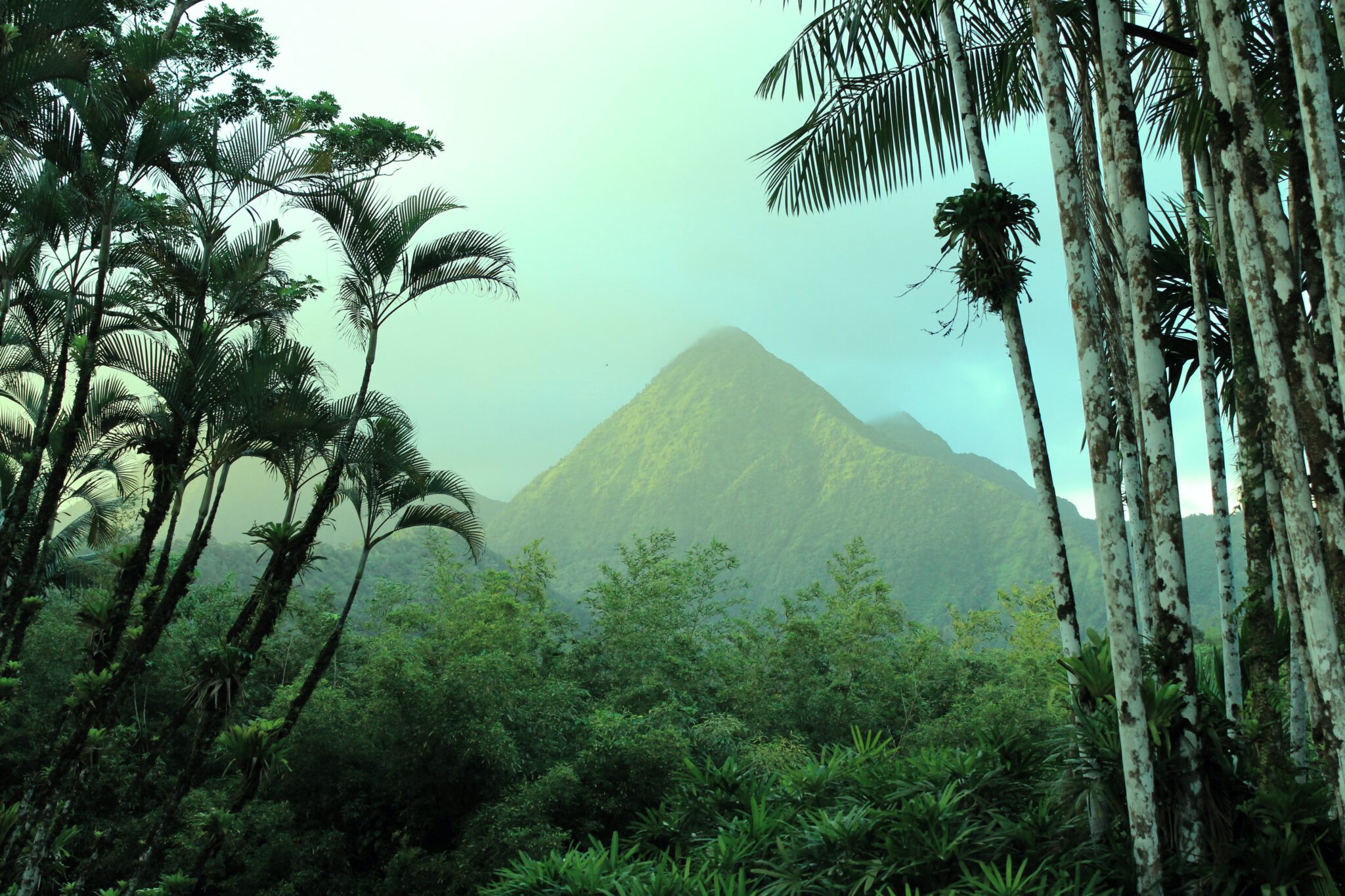 blauwe-zone-martinique