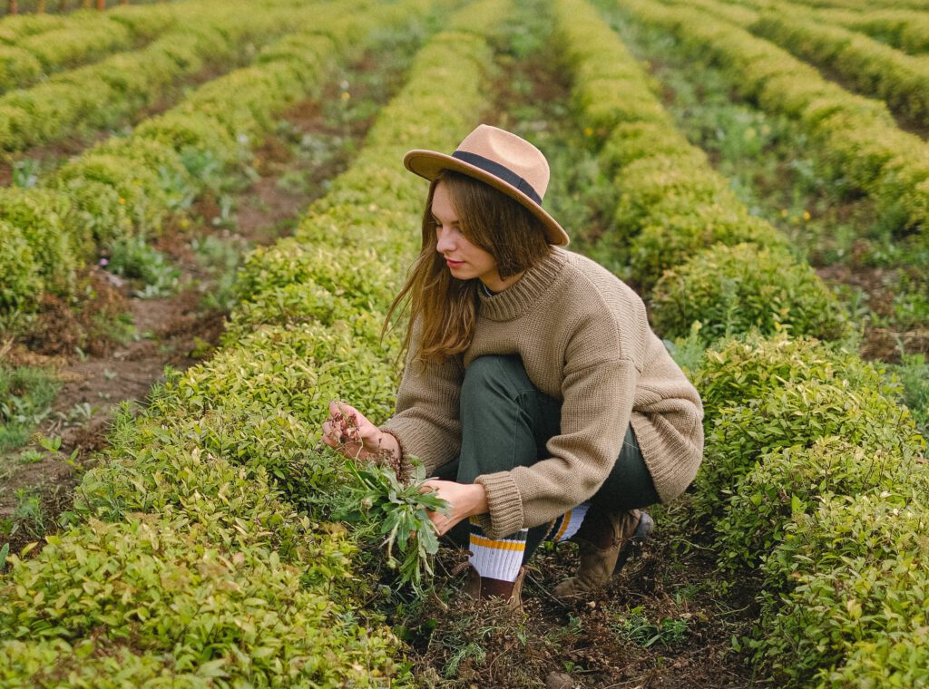 vrouw werkt in succesvolle moestuin