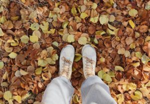 Herfstwandeling door het bos podcasts mindset