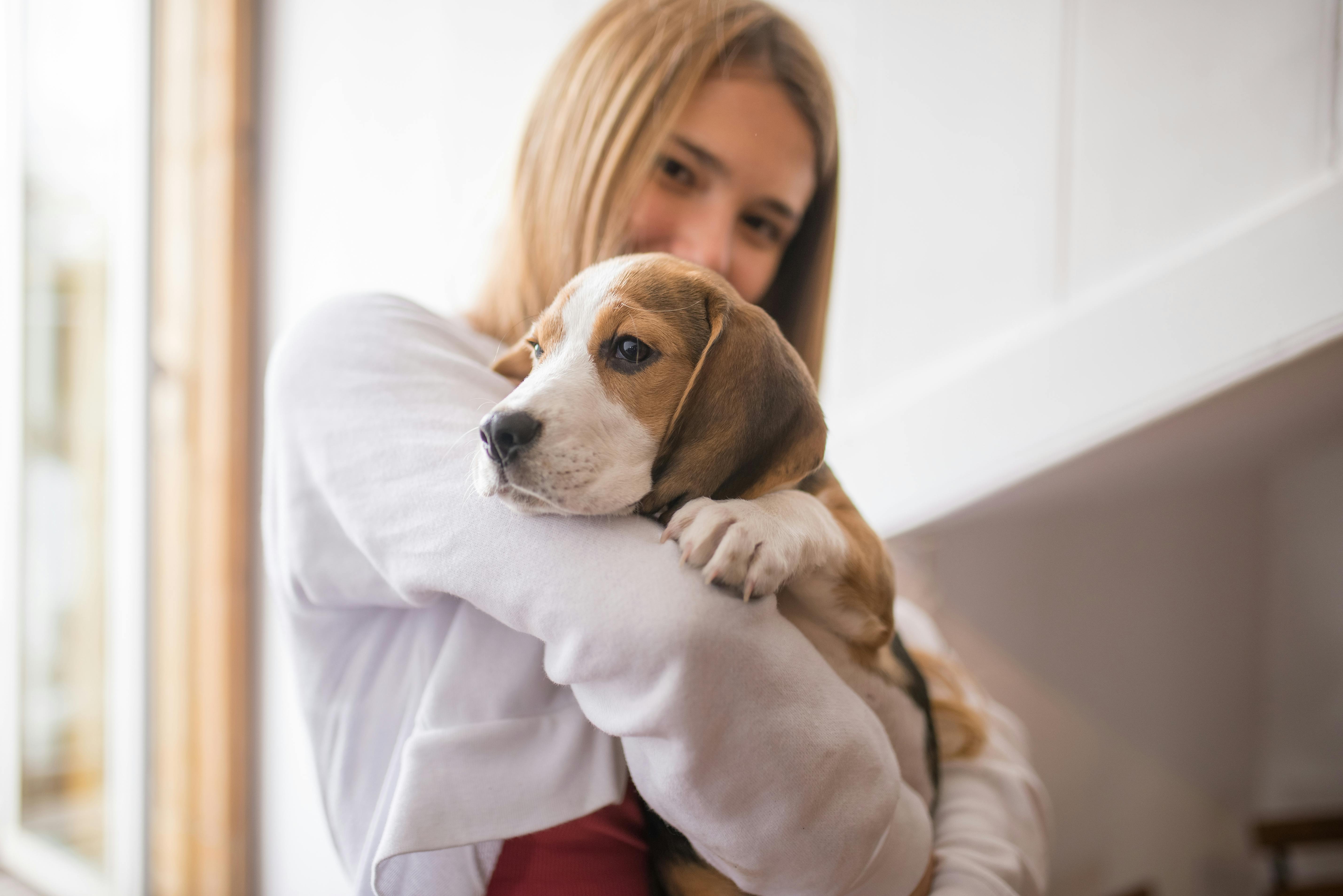 Do dogs really look like their owners?  This is what science says