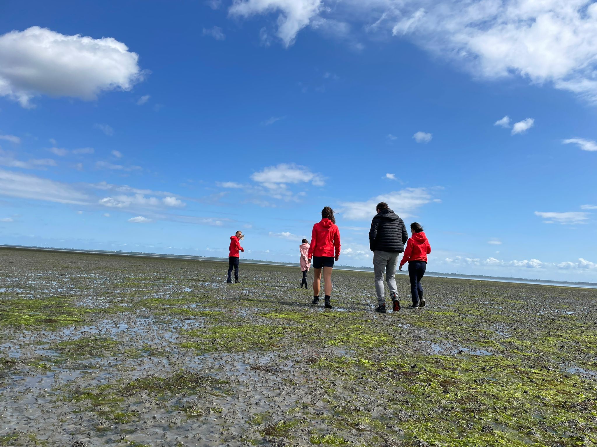 ocean restoration programma