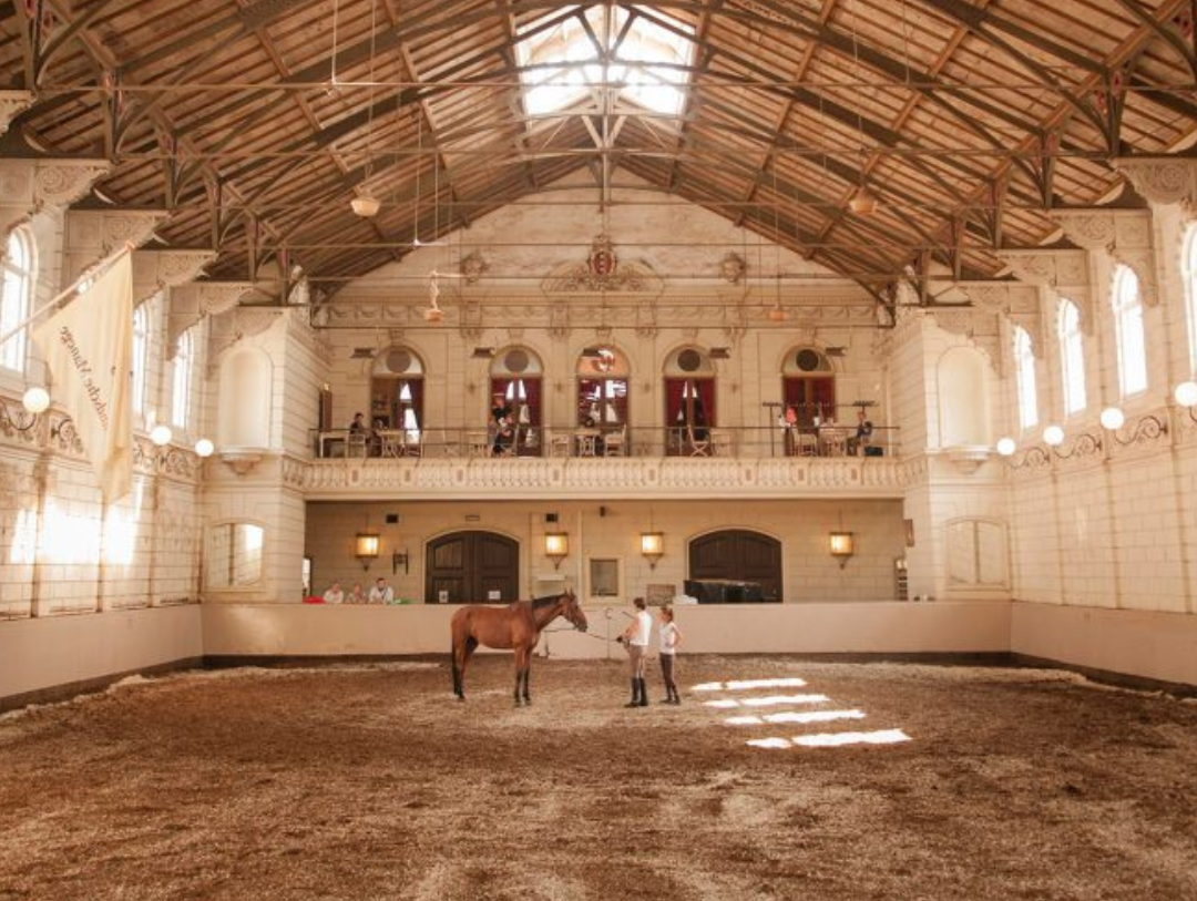 herfst weekend tips, de maaltuin in de manege