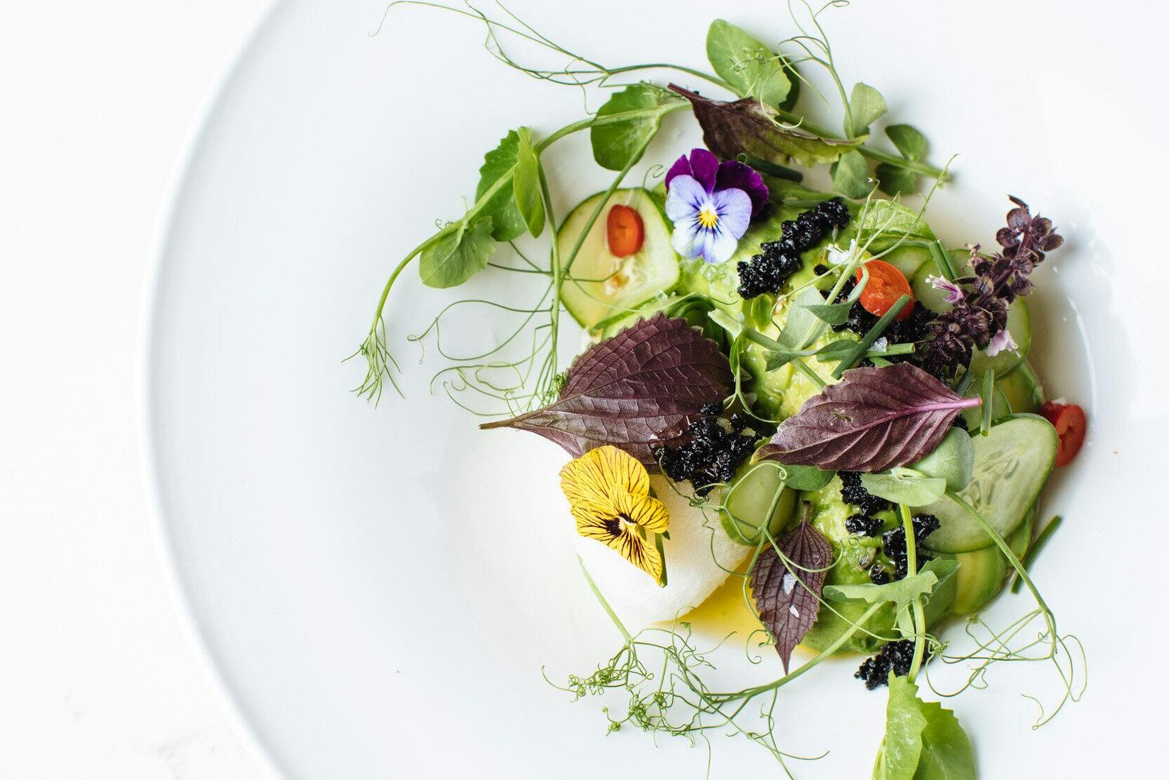 vegan restaurants noorden