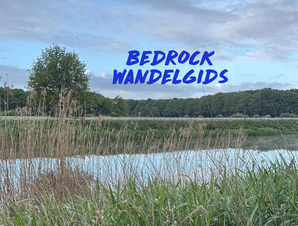 wandelgids