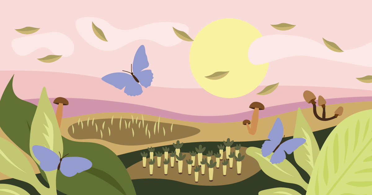tuin met Biodiversiteit