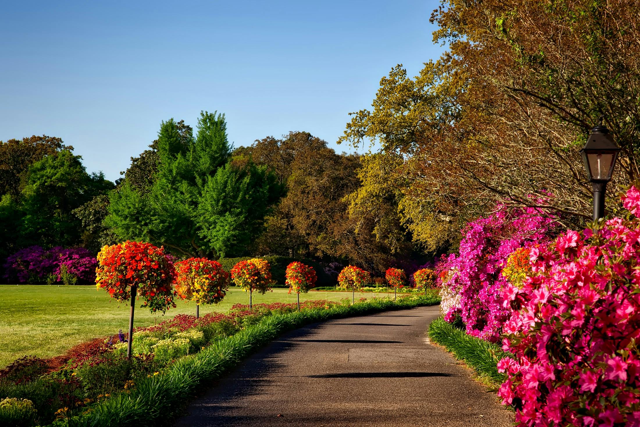 parken in nederland