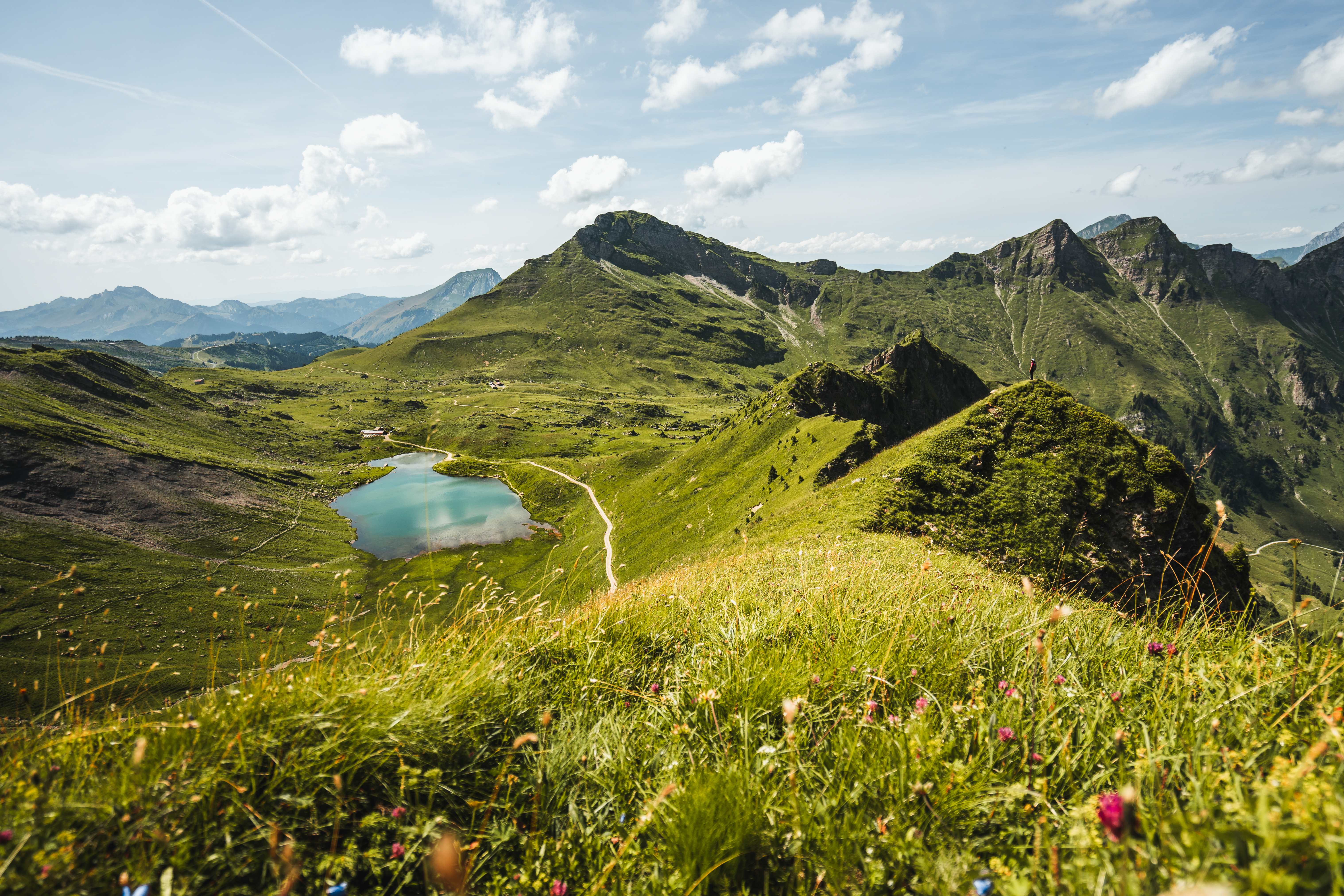 skigebied in de zomer