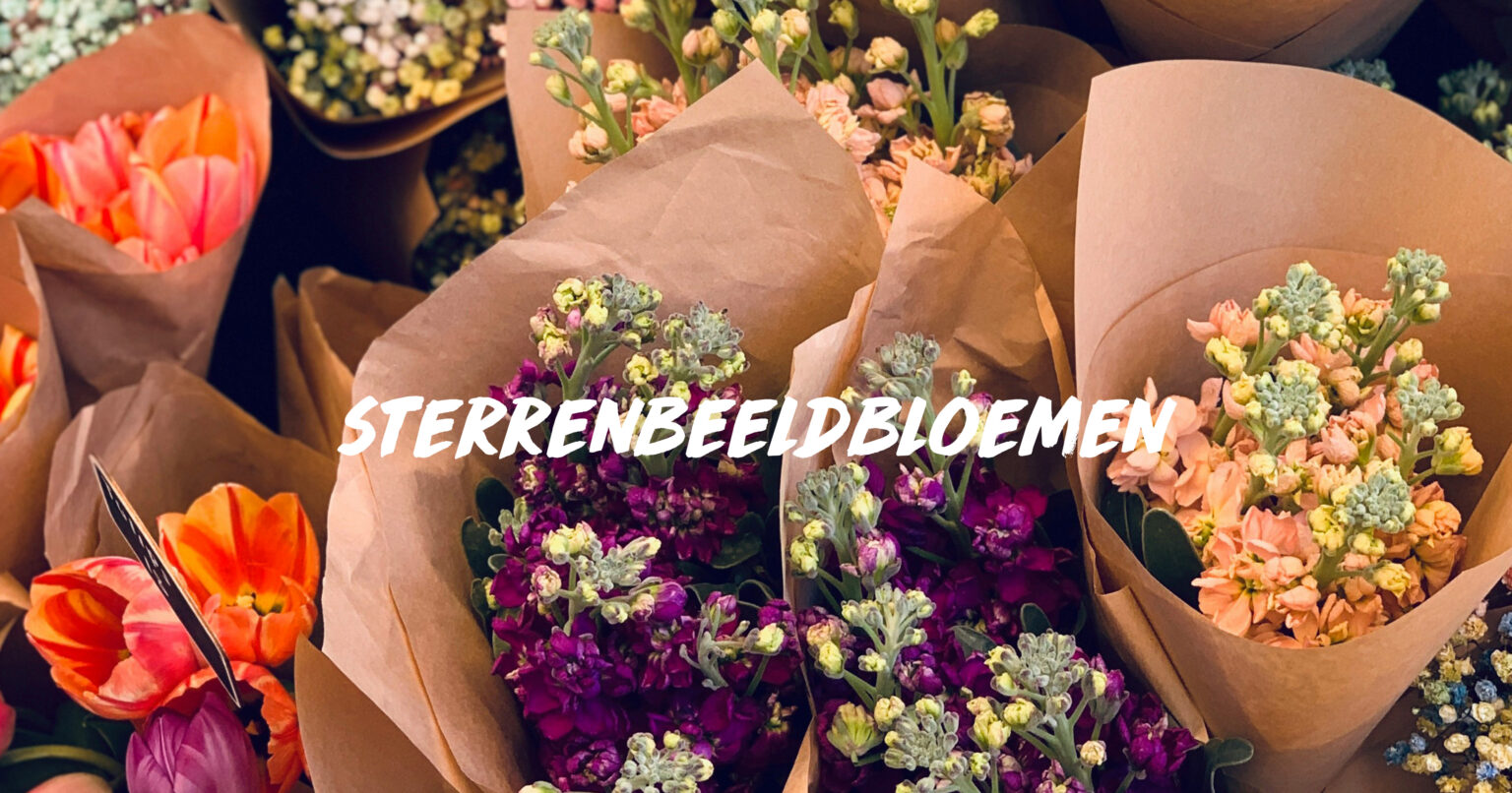 sterrenbeeld bloemen