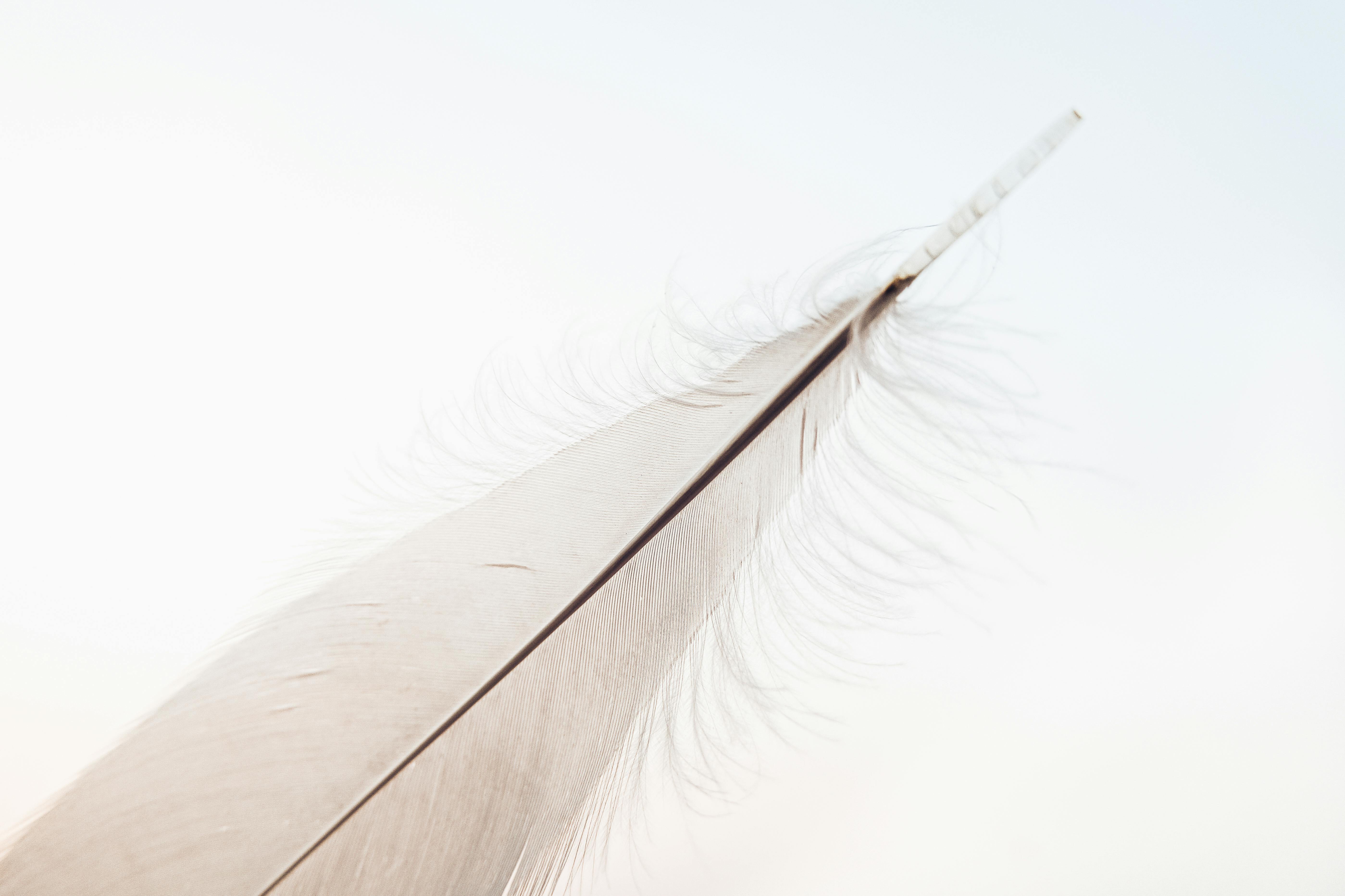 minimalisme