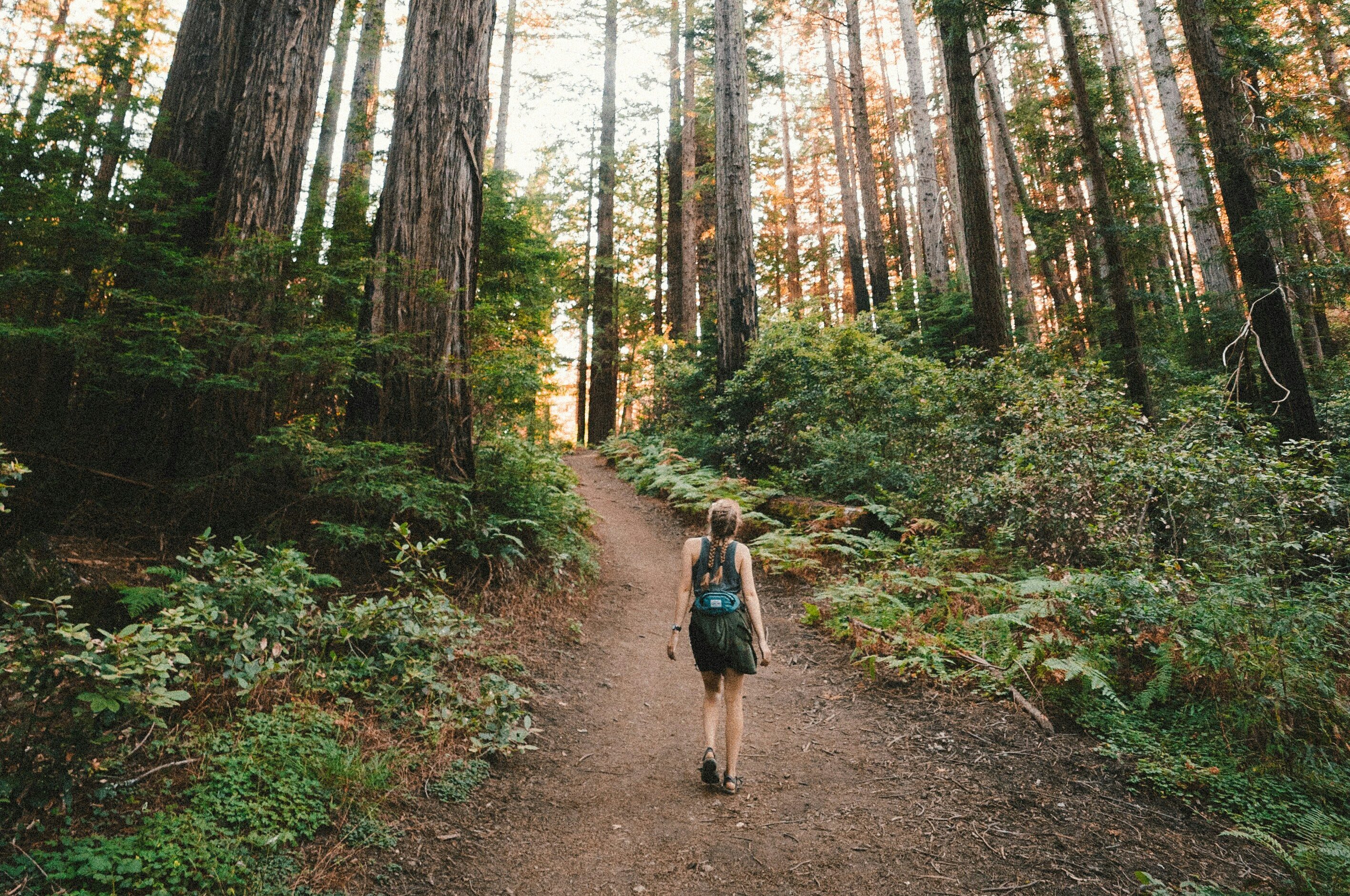 walk-of-life